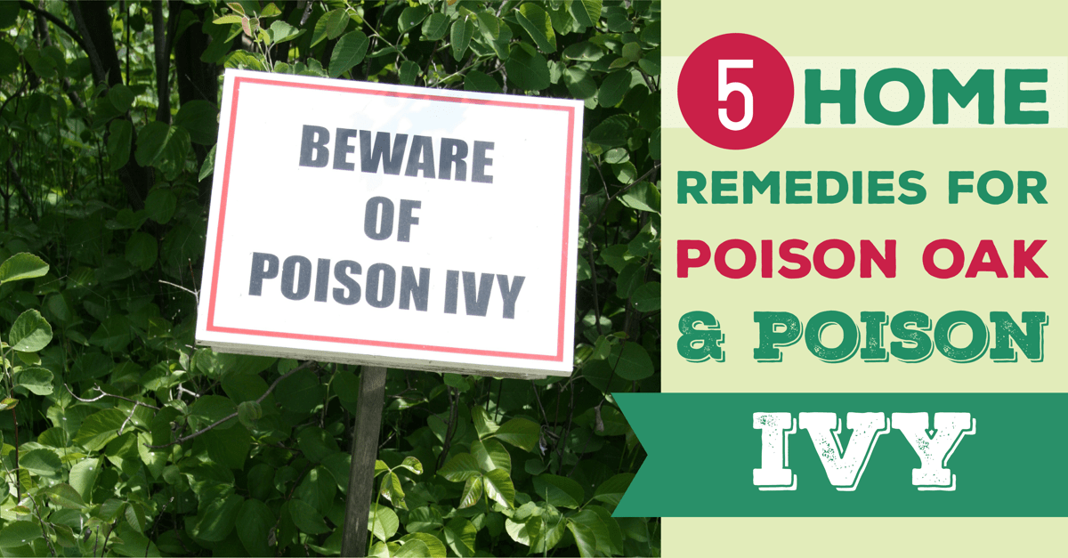 home remedies for poison oak or ivy