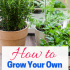 Grow your own indoor herb garden!