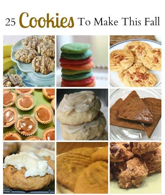 25 Cookie Recipes To Make This Fall