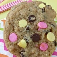 Chocolate Chip Cookies for Spring