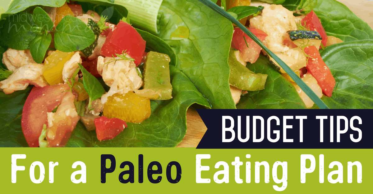 Budget Tips For A Paleo Eating Plan