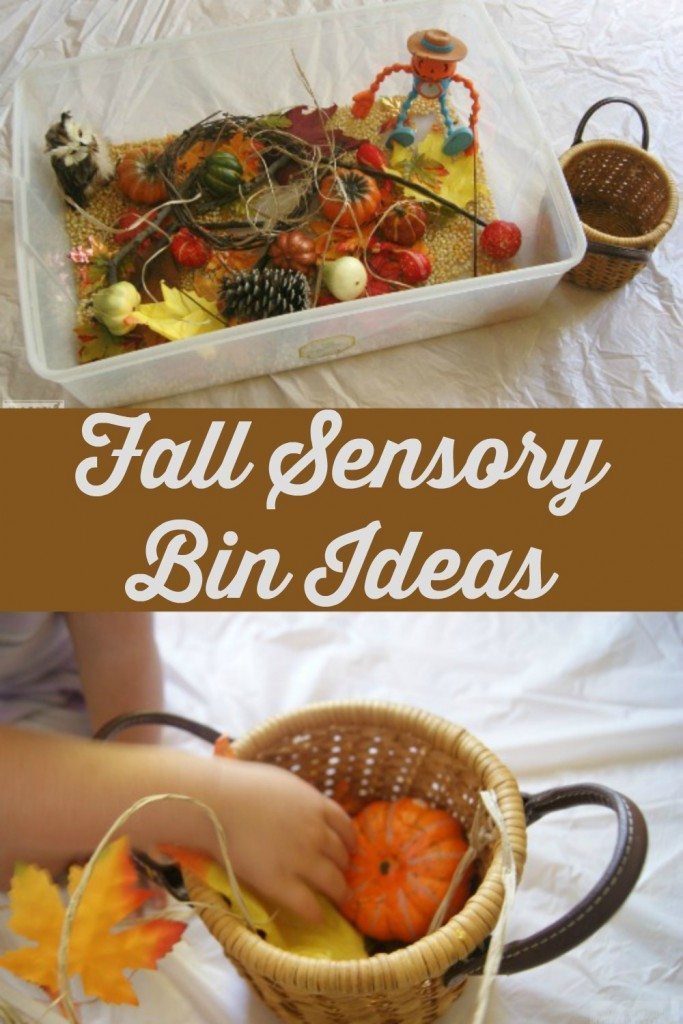 Fall Sensory Bin Ideas