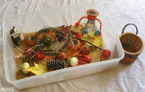 Fall Sensory Bin Ideas
