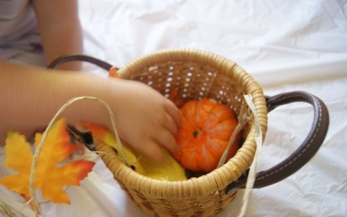 Fall Sensory Bin Ideas
