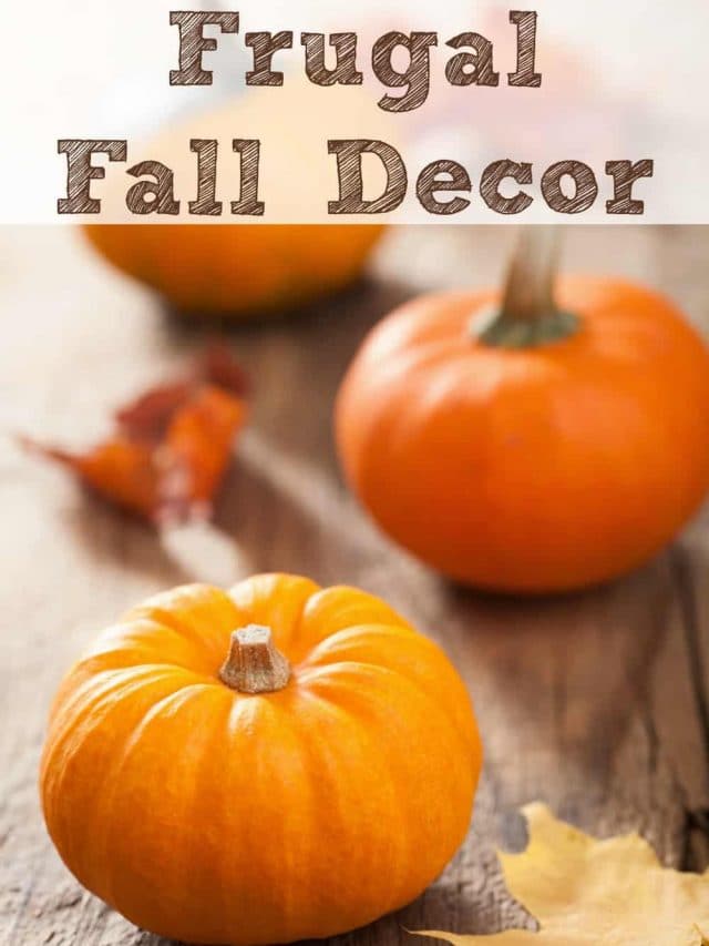 Frugal Fall Decor Ideas