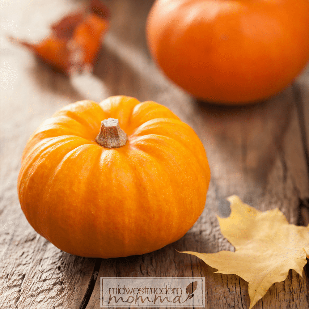 Frugal Fall Decor Ideas