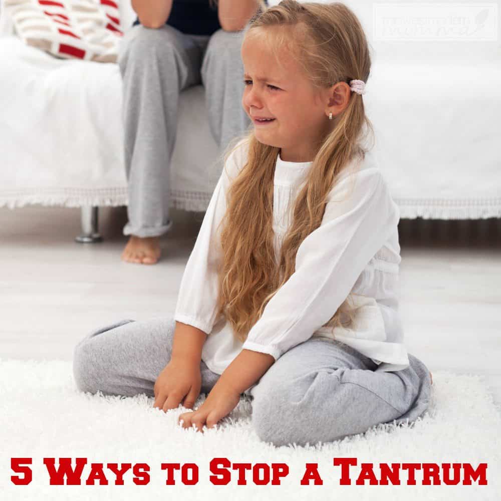 Tantrums are never a good thing when it comes to having a kid. It always happens at the worst time and it is always hard to regain control. If you are tired of tantrums and want to stop it in its tracks, there are some things you can do.