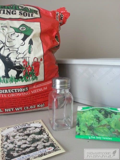 DIY Seed Shaker for Kids