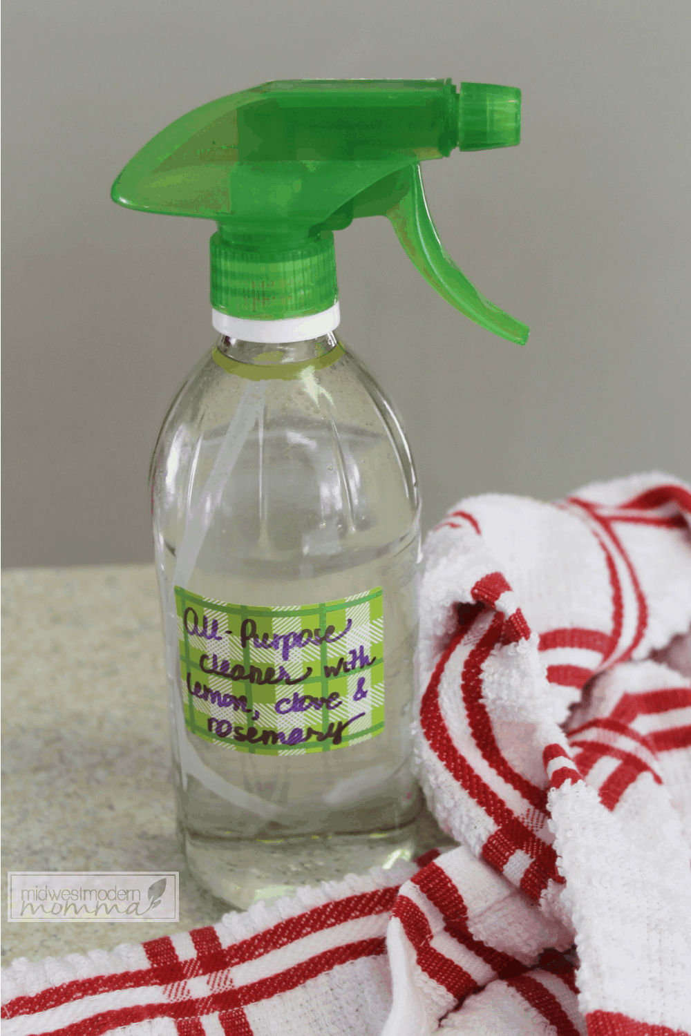 Homemade Cleaners: All Purpose Cleaning Spray