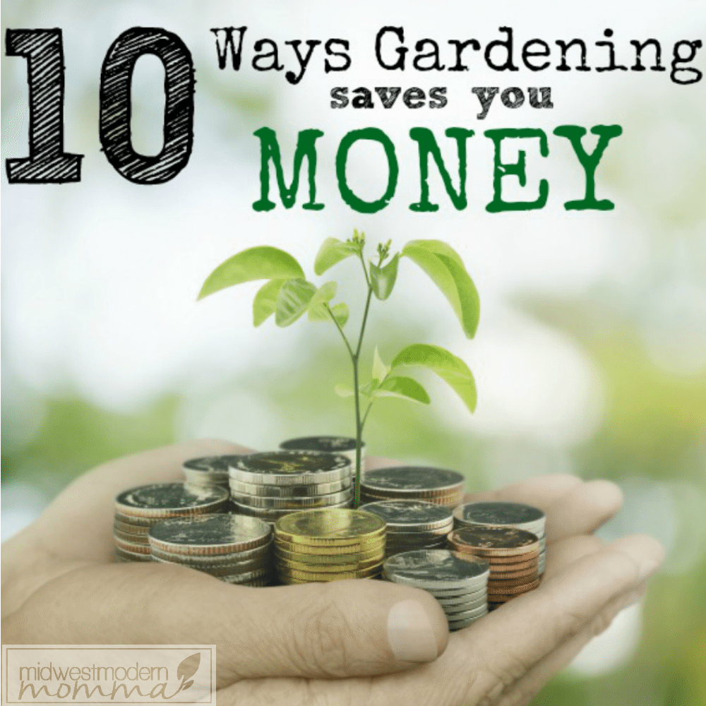 10 Ways Vegetable Gardening Saves You Money