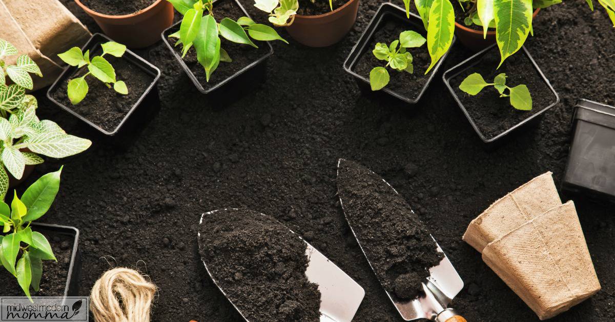 Ways To Save Money On Gardening like this list of 30 Amazing Tips are just the beginning of your savings with a budget-friendly backyard vegetable garden!