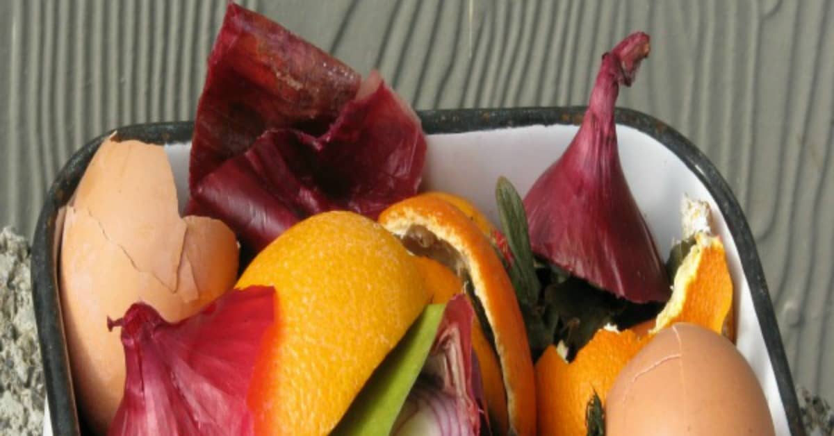 Foods Scraps may always seem like trash, but there are actually 7 Kitchen Food Scraps You Should Never Throw Away! Check out #4! It shocked me!