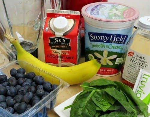 Make our Vanilla Blueberry Smoothie for a delicious and healthy breakfast or snack! Chock full of antioxidants, this easy to make smoothie is a hit with the entire family!