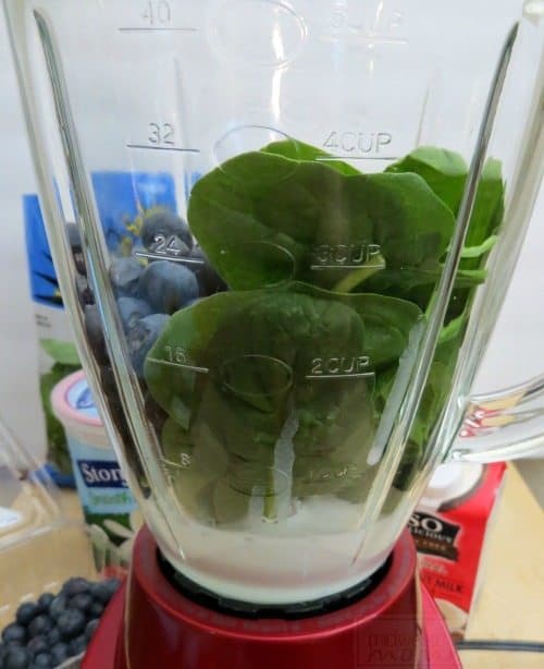Make our Vanilla Blueberry Smoothie for a delicious and healthy breakfast or snack! Chock full of antioxidants, this easy to make smoothie is a hit with the entire family!