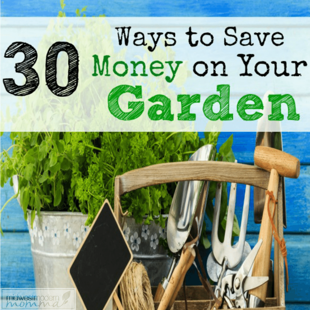 30 Ways To Save Money On Gardening