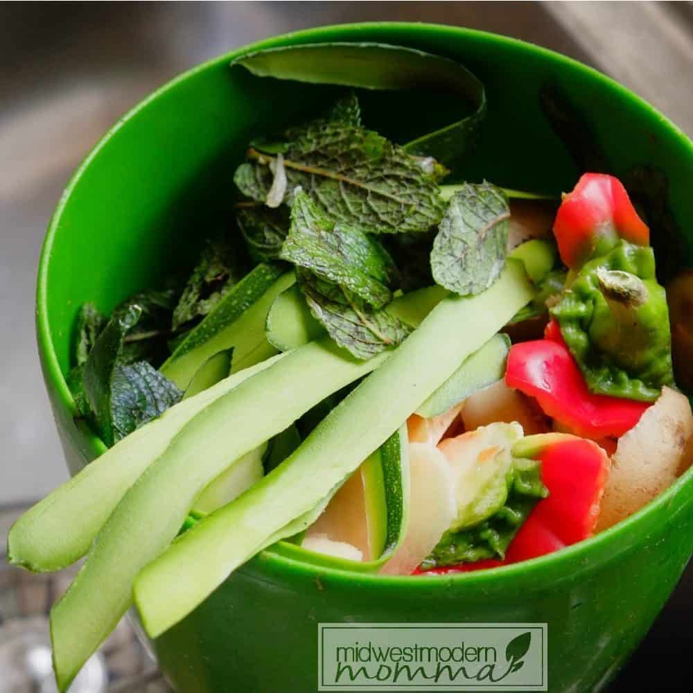 10 Items Perfect For Composting Bins