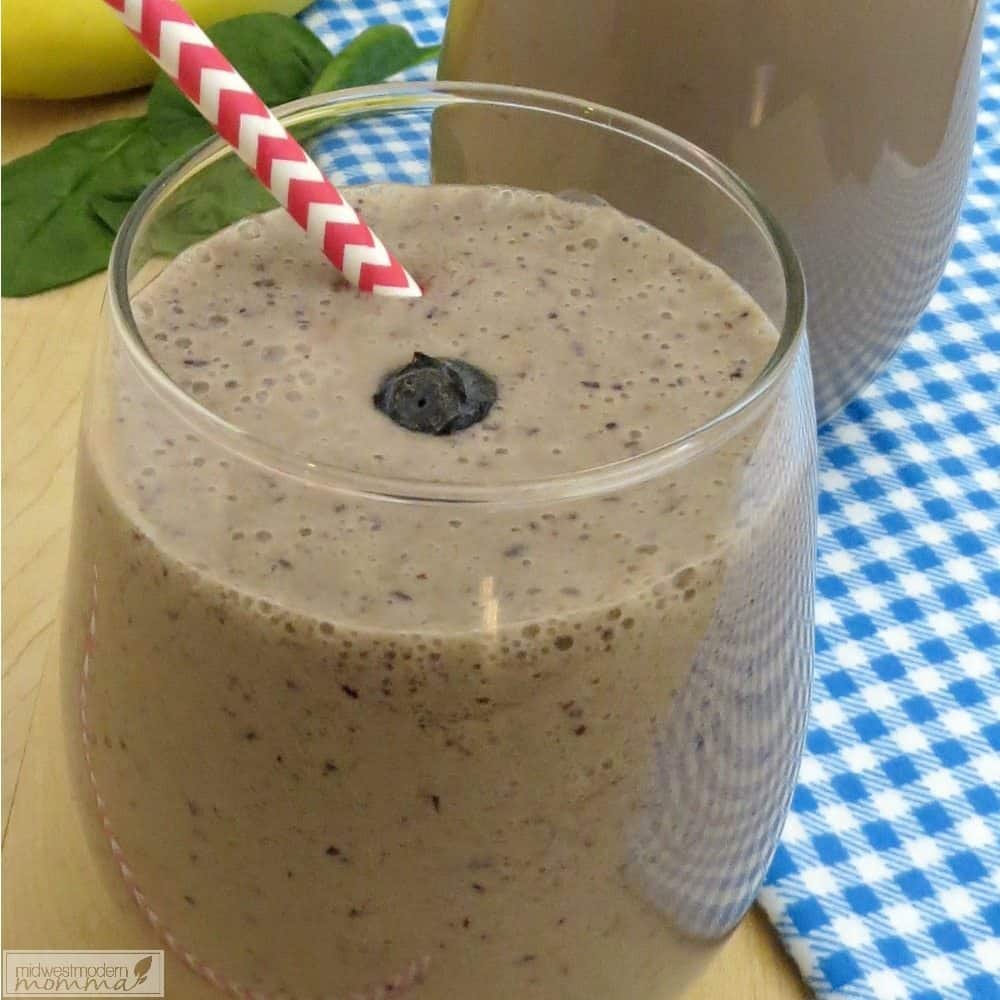 Make our Vanilla Blueberry Smoothie for a delicious and healthy breakfast or snack! Chock full of antioxidants, this easy to make smoothie is a hit with the entire family!