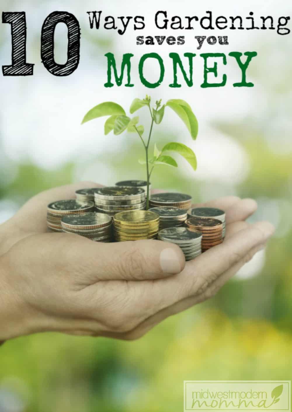 Vegetable gardening is a favorite method of saving money and cutting your grocery budget! Check out other great ways it saves you money! 