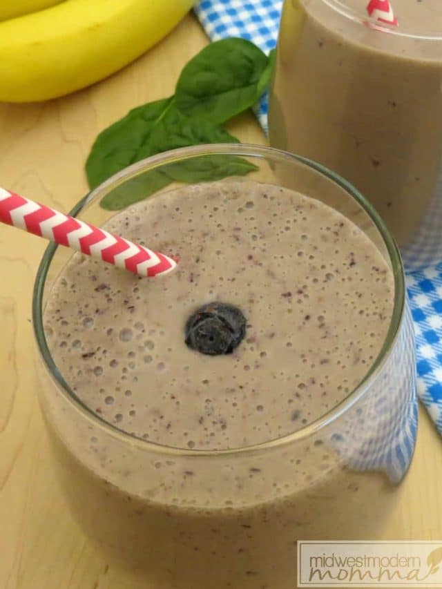 cropped-Vanilla-Blueberry-Smoothie-P.jpg