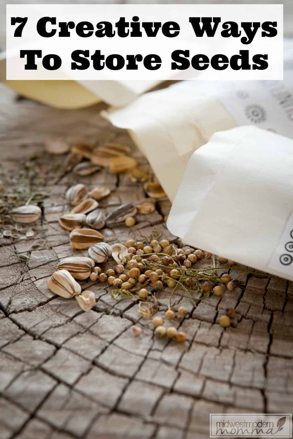 7 Creative Answers For How To Store Seeds