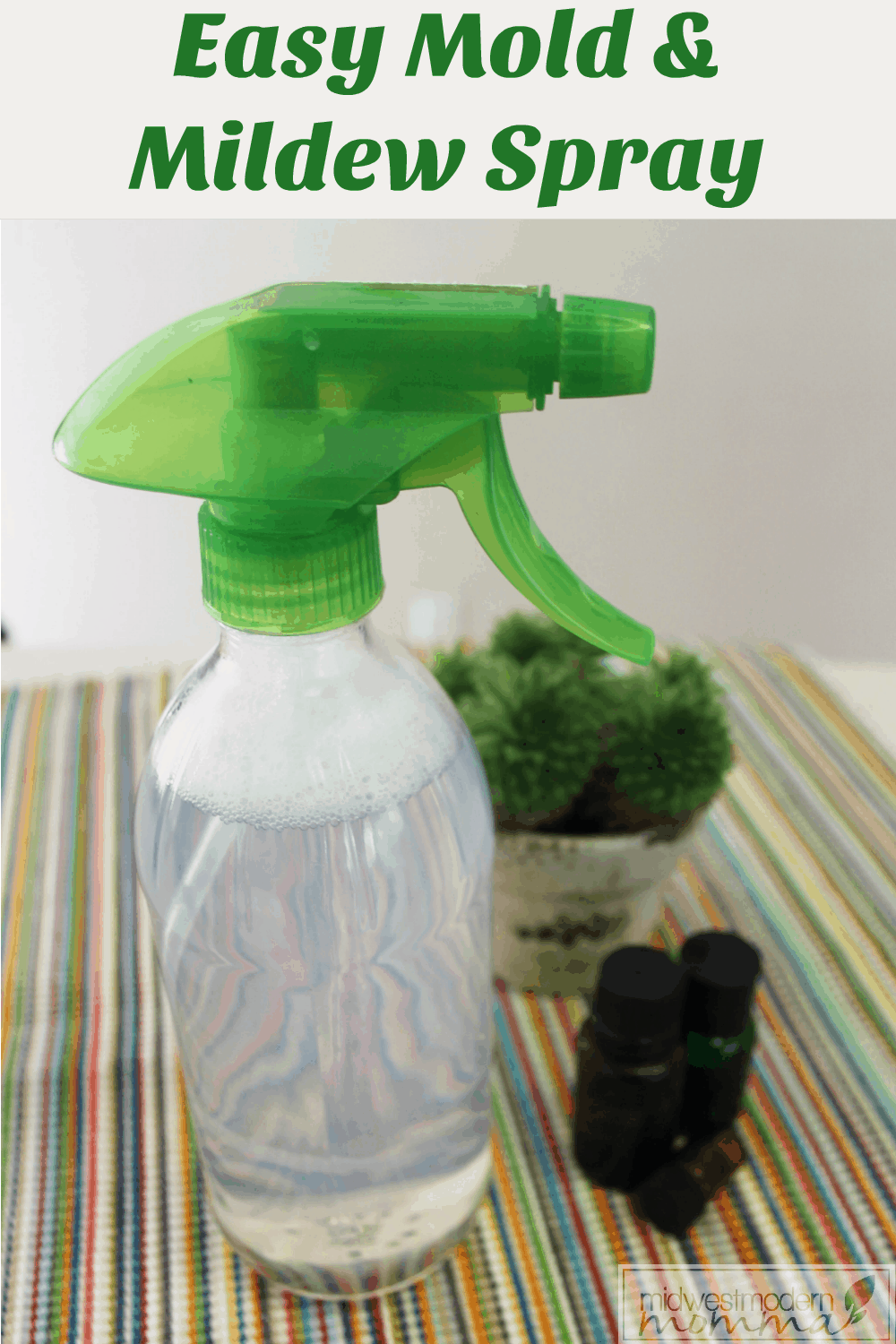 Homemade Mildew Removal Spray {Mold too!}