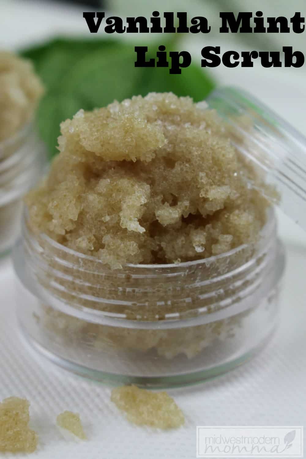 Vanilla Mint Lip Exfoliator is a great homemade beauty product recipe that everyone on your gift list will love! Make and use daily for softer lips!