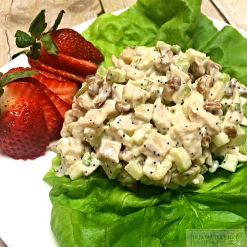 Easy Chicken Salad with Lemon and Poppyseed is a delicious option for lunch! Check out our kid-approved lunch idea that is easy and healthy!