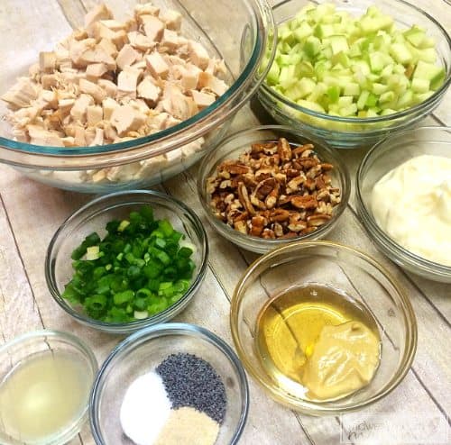 Easy Chicken Salad with Lemon and Poppyseed is a delicious option for lunch! Check out our kid-approved lunch idea that is easy and healthy!