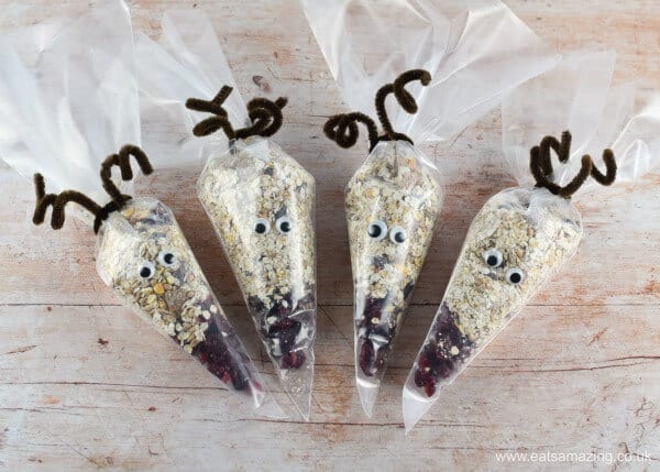 Image for Wildlife & Bird Friendly Reindeer Food