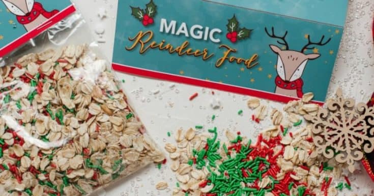 Image for Easy Homemade Reindeer Food