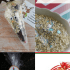 21 Reindeer Food Recipes