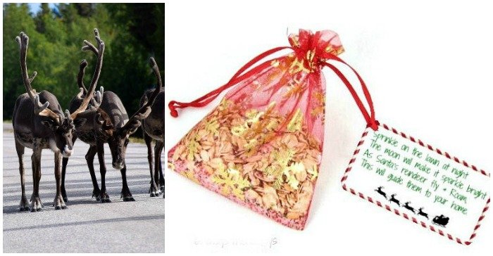 Image for Magic Reindeer Food – DIY Project to Delight The Children