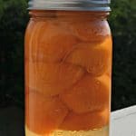 Image for Canning Apricots