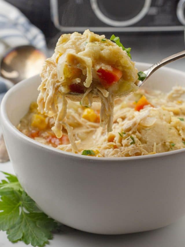 Closeup of a bowl of chicken and dumplings.
