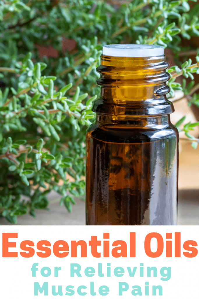 Photo of thyme with essential oil box, text reads "Essential Oils for Relieving Muscle Pain".