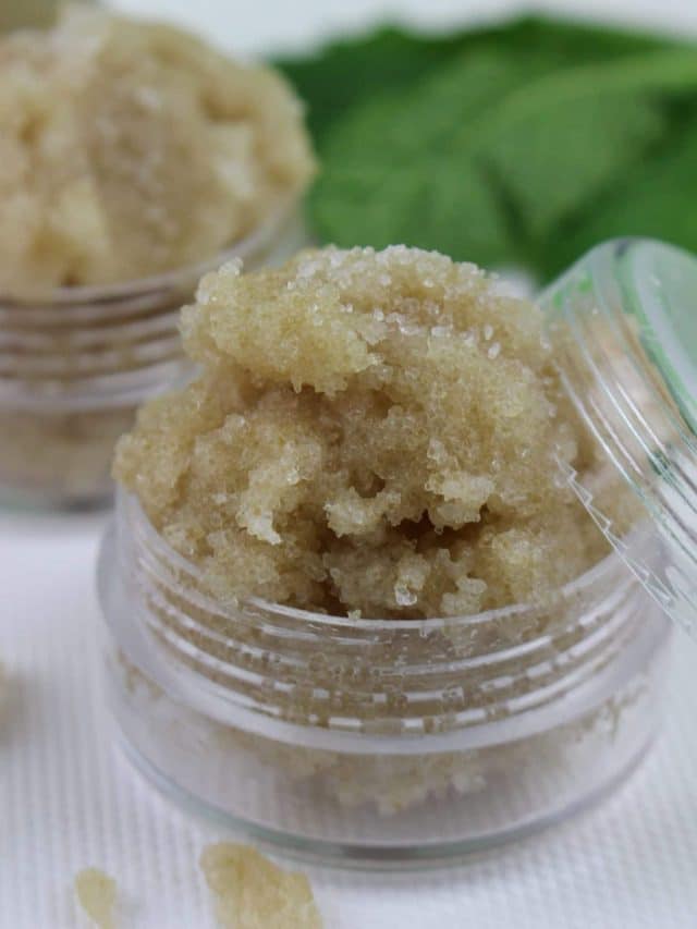 Vanilla Mint Lip Scrub