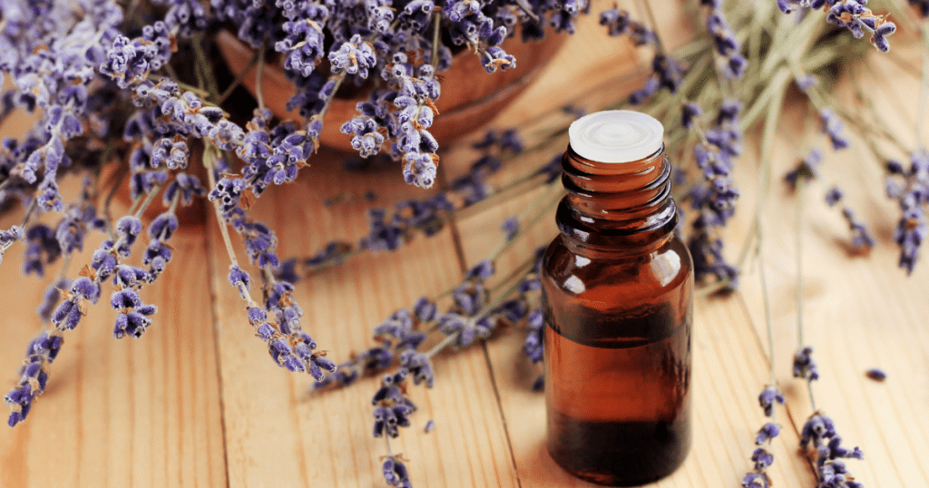 Bottle of essential oil with lavender flowers.