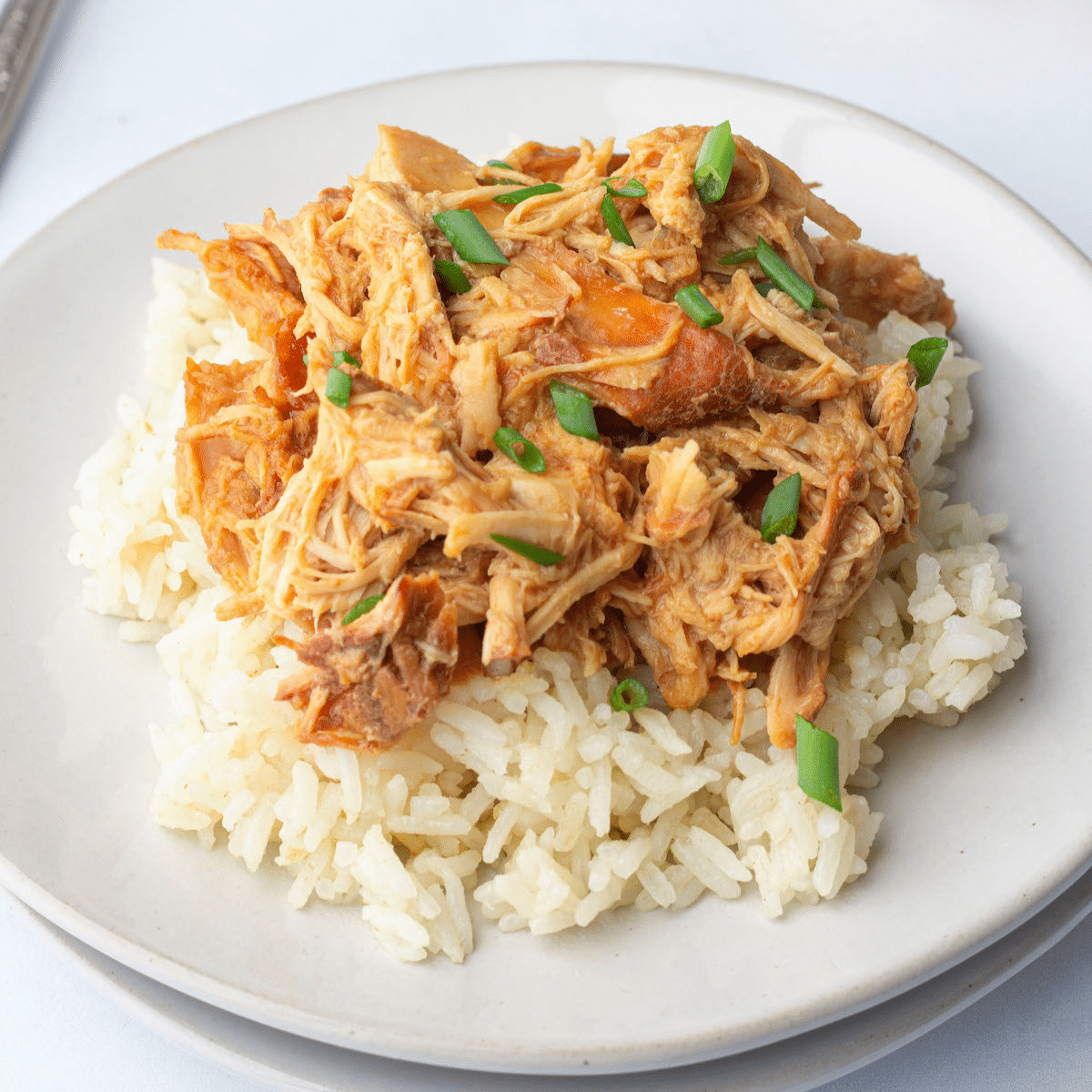 Slow Cooker Chicken Teriyaki