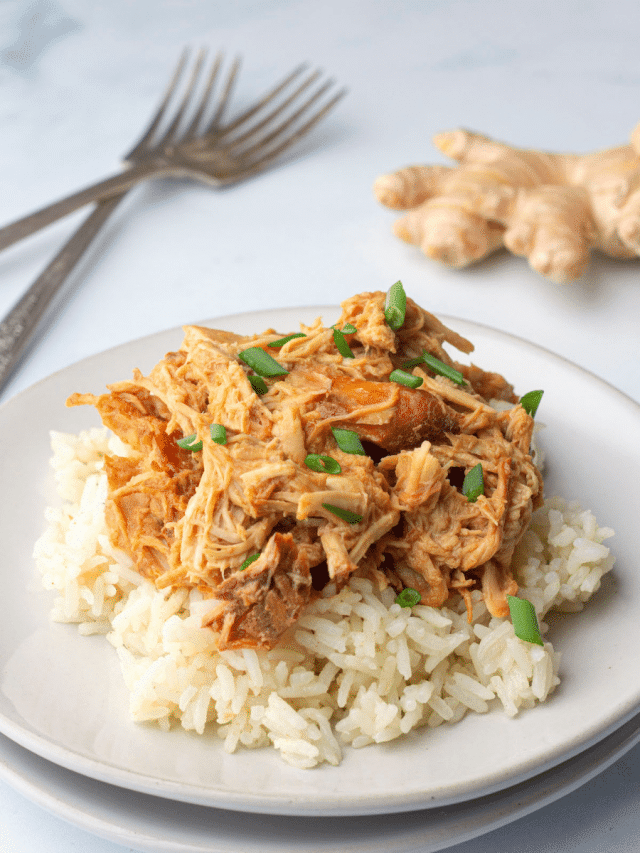 cropped-Slow-Cooker-Chicken-Teriyaki-S.png