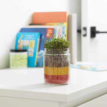 Image for Terrarium Kids Grow Kit