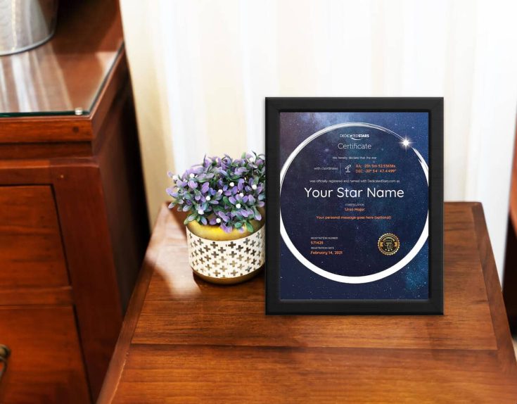 Image for Name a Star 