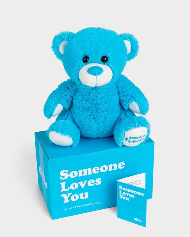 Image for Send a Stuffed Animal Gift & Care Package