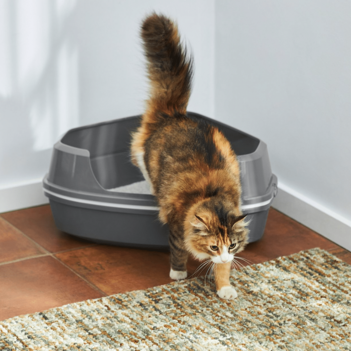 Image for Frisco Corner Sifting Cat Litter Box