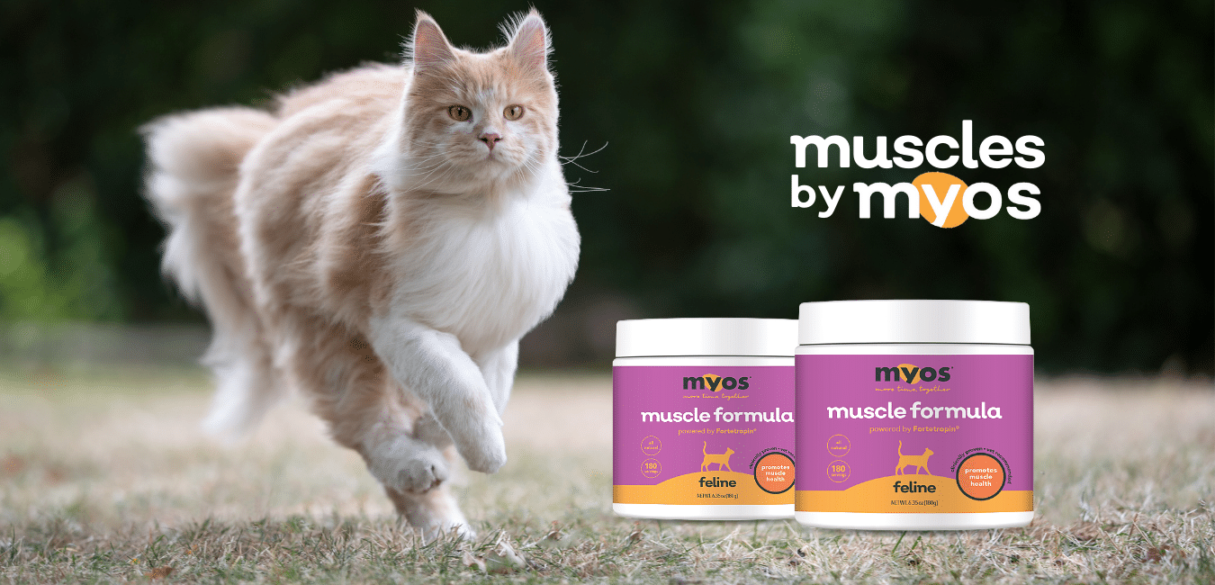 Image for MYOS Feline Muscle Formula