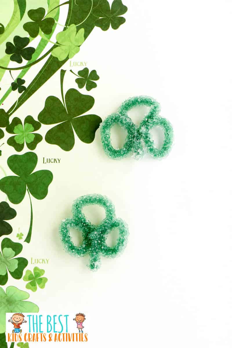 Image for Borax Crystal Shamrocks - Easy St. Patrick's Day Kids Activity
