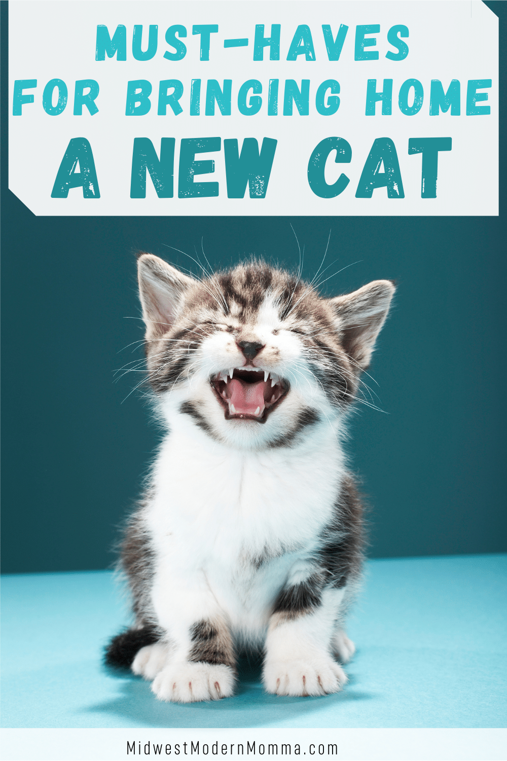 A kitten meowing with text saying "must-haves for bringing home a new cat".