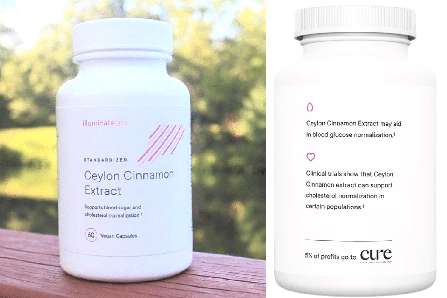 Image for Ceylon Cinnamon Extract