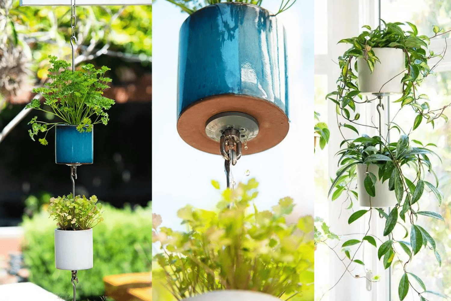 Image for SkyPots