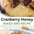 Cranberry baked brie with honey, walnuts, and rosemary with text describing the image.
