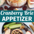 Cranberry baked brie with honey, walnuts, and rosemary with text describing the image.